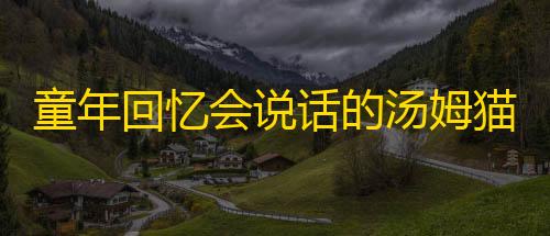 彩虹云节点购买童年回忆会说话的汤姆猫走红全球，如今股票拍卖为何流拍？